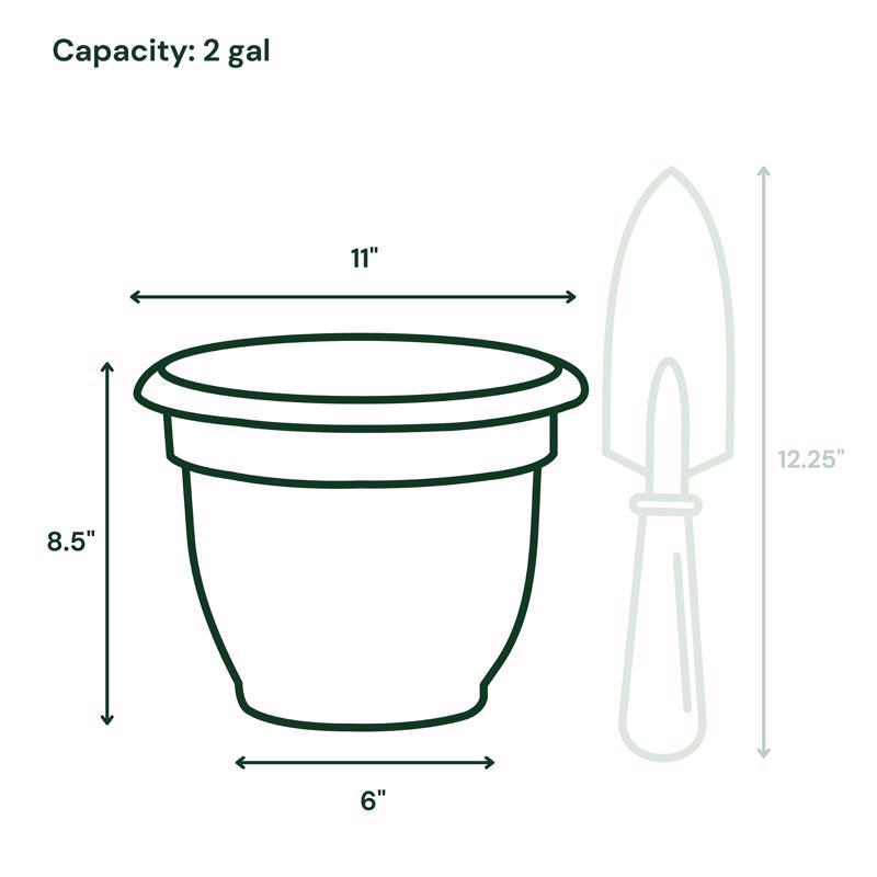 Bloem Ariana 8.5 in. H X 11 in. W X 10 in. D Plastic Traditional Planter Charcoal