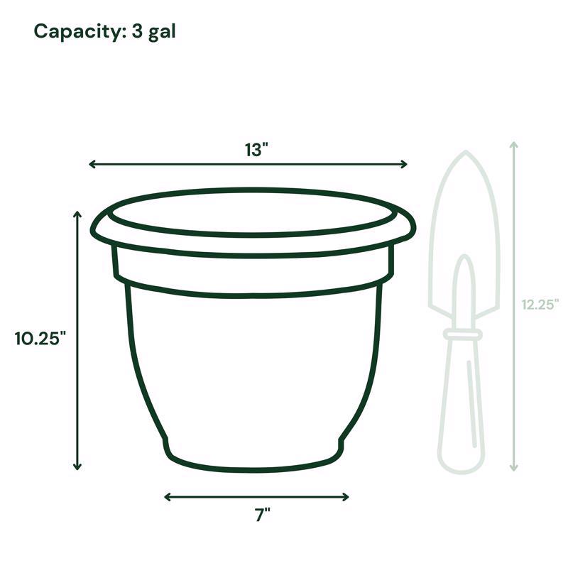 Bloem Ariana 10.25 in. H X 13 in. W X 12 in. D Plastic Traditional Planter Charcoal