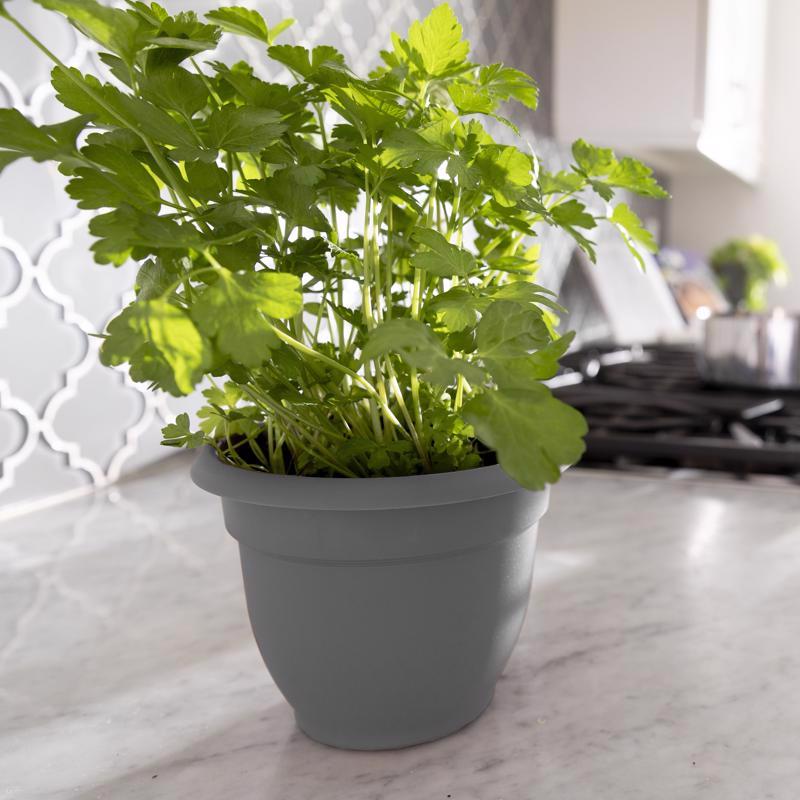 Bloem Ariana 7 in. H X 8.75 in. W X 8 in. D Plastic Traditional Planter Charcoal