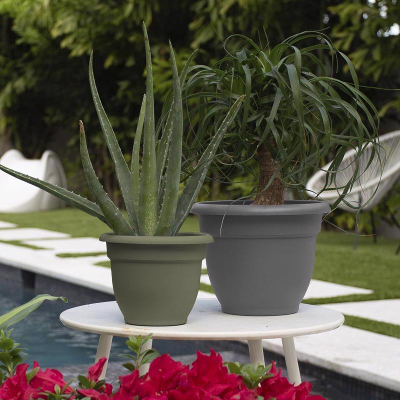 Bloem Ariana 7 in. H X 8.75 in. W X 8 in. D Plastic Traditional Planter Charcoal