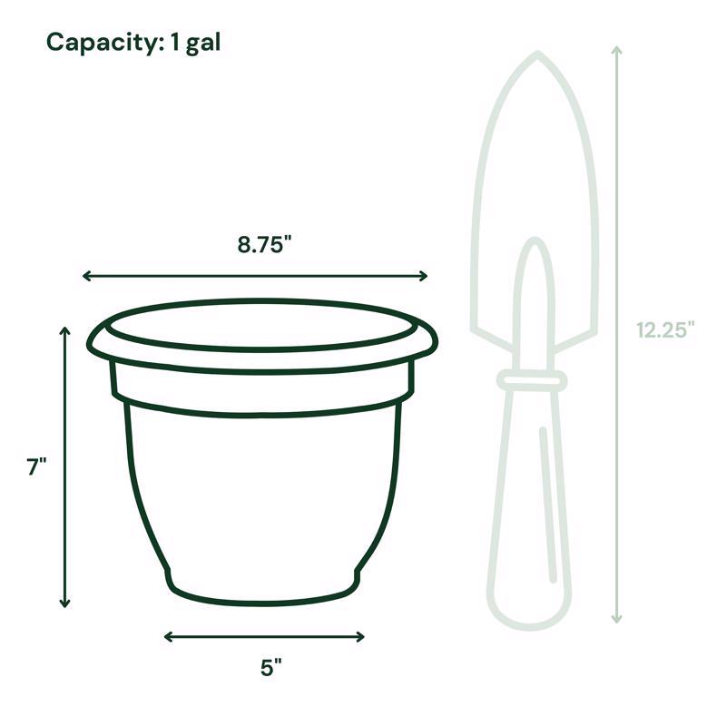 Bloem Ariana 7 in. H X 8.75 in. W X 8 in. D Plastic Traditional Planter Charcoal