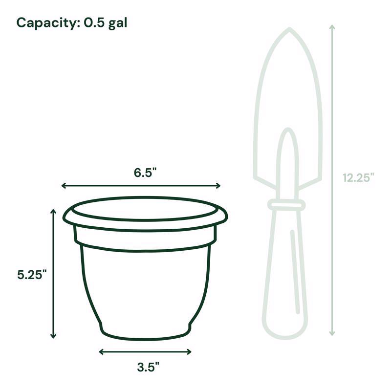 Bloem Ariana 5.25 in. H X 6.5 in. W X 6 in. D Plastic Traditional Planter Charcoal