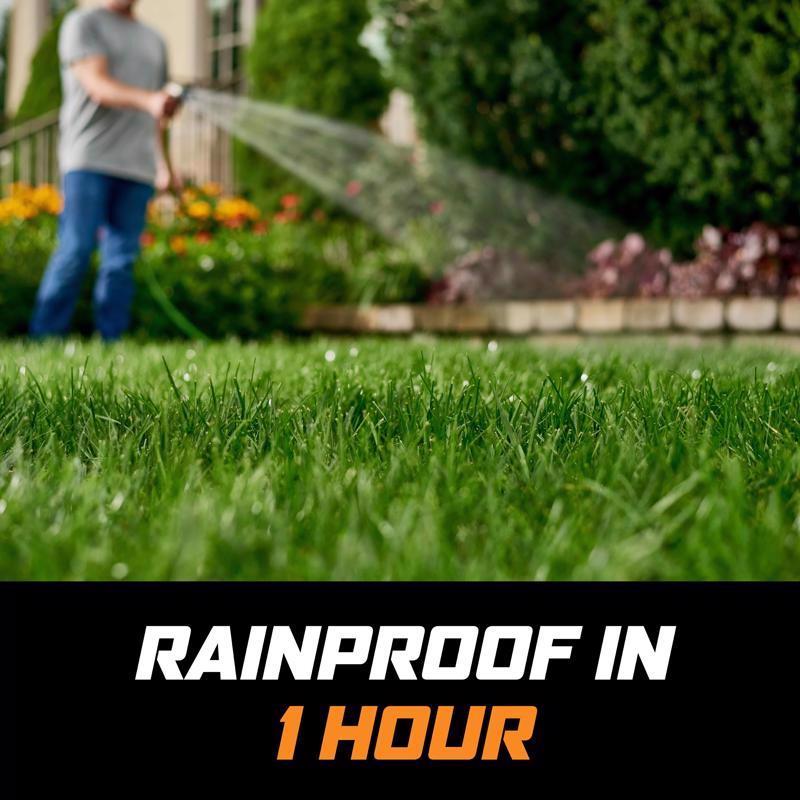 Ortho WeedClear Weed Killer RTU Liquid 1 gal