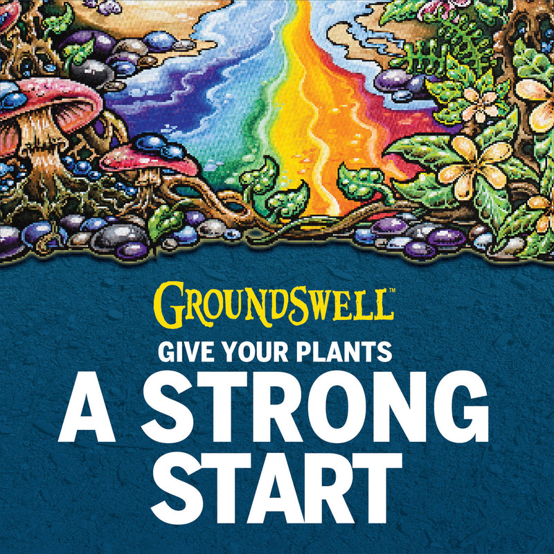 Mother Earth Groundswell All Purpose Potting Soil 12 qt