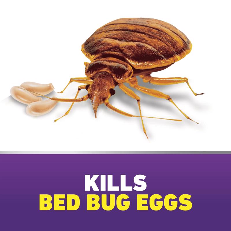 Ortho Home Defense Max Bed Bug Killer Aerosol 18 oz
