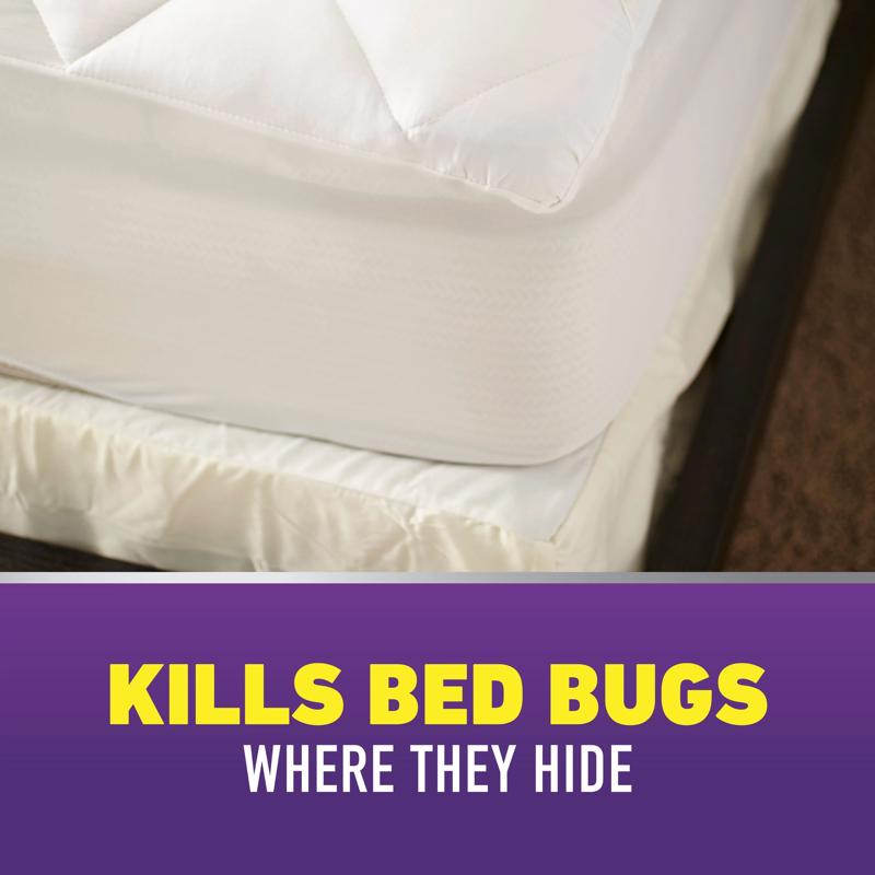 Ortho Home Defense Max Bed Bug Killer Aerosol 18 oz