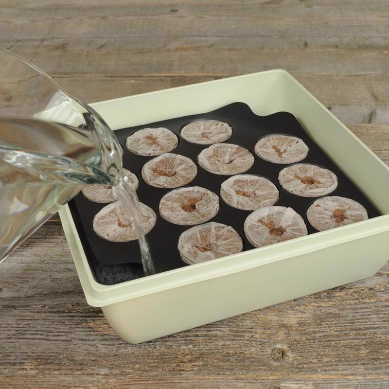 Jiffy 14 Cells 11 in. H X 11 in. W Seed Starting Kit