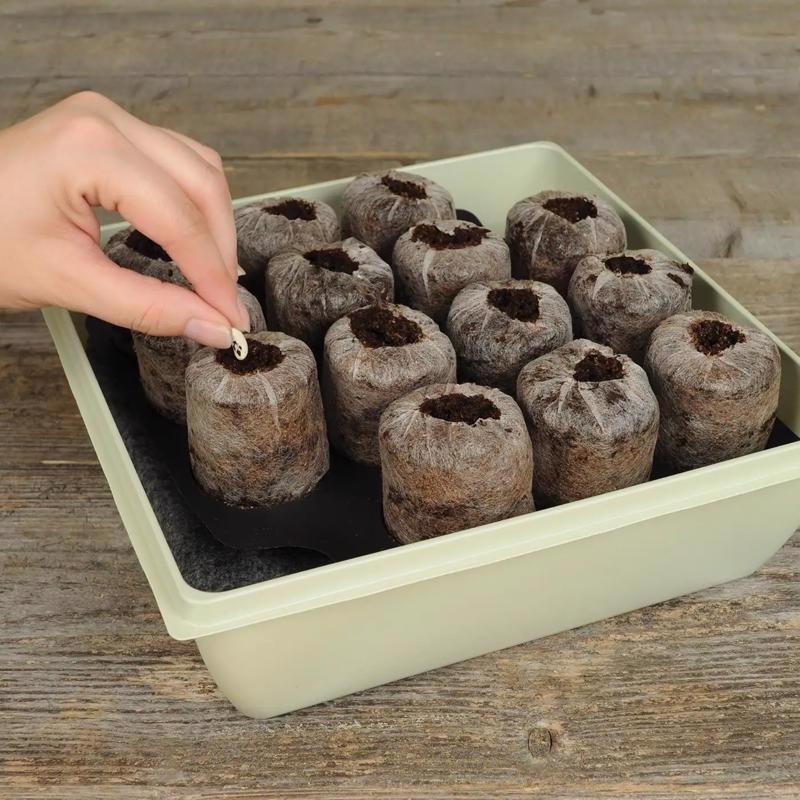 Jiffy 14 Cells 11 in. H X 11 in. W Seed Starting Kit