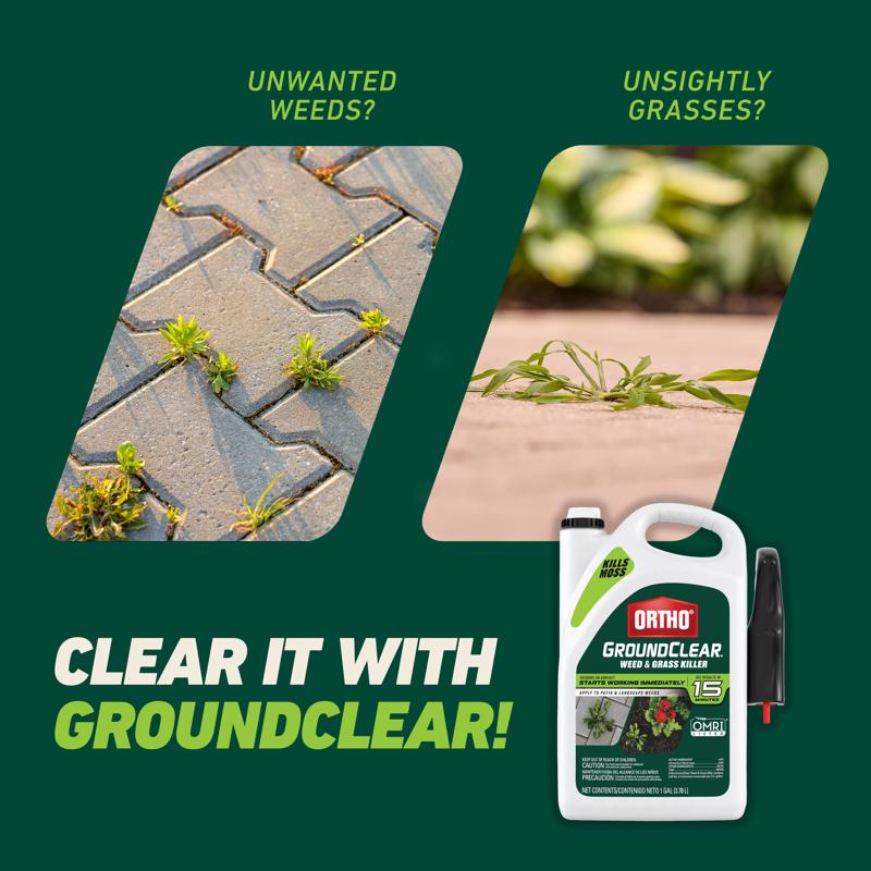 Ortho GroundClear Weed and Grass Killer RTU Liquid 1 gal