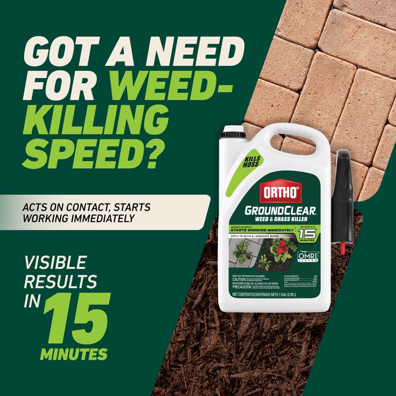 Ortho GroundClear Weed and Grass Killer RTU Liquid 1 gal