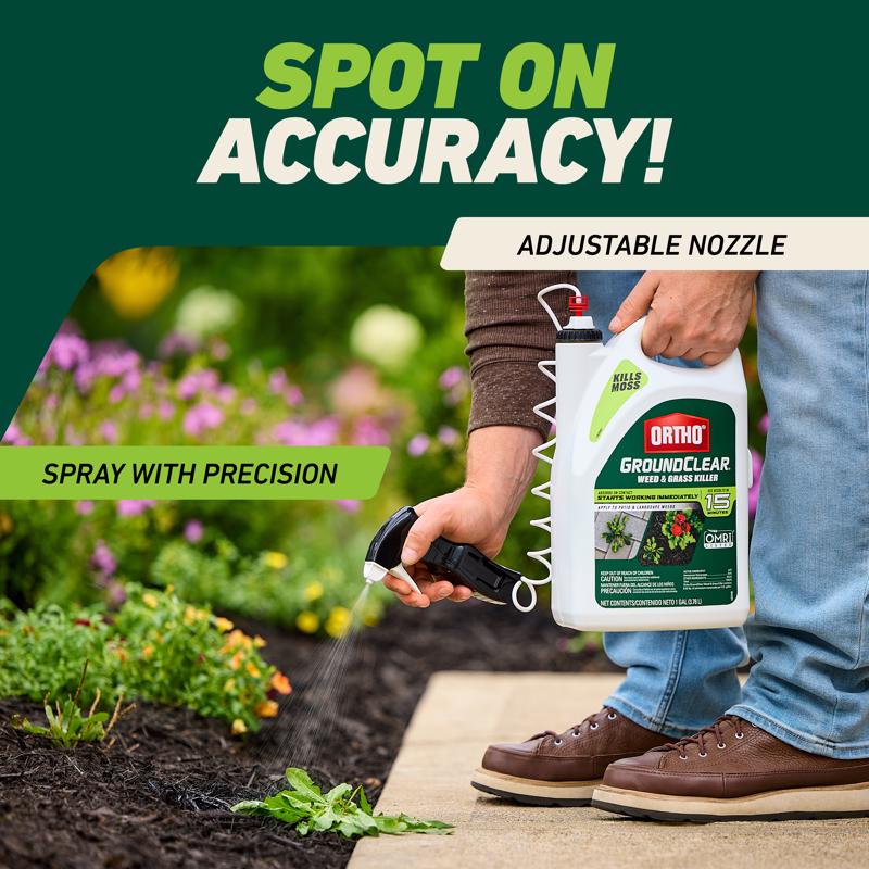 Ortho GroundClear Weed and Grass Killer RTU Liquid 1 gal