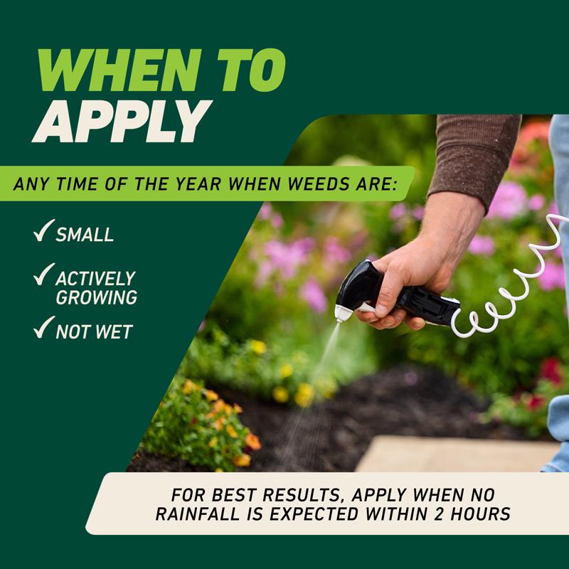 Ortho GroundClear Weed and Grass Killer RTU Liquid 1 gal
