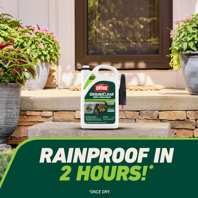 Ortho GroundClear Weed and Grass Killer RTU Liquid 1 gal