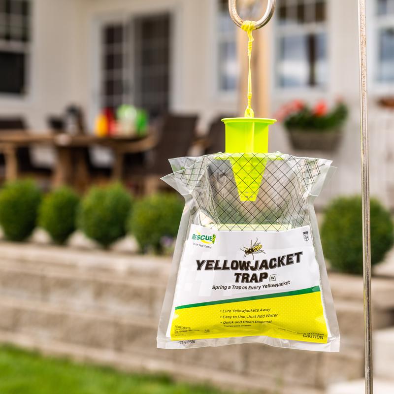 RESCUE! Yellow Jacket Trap