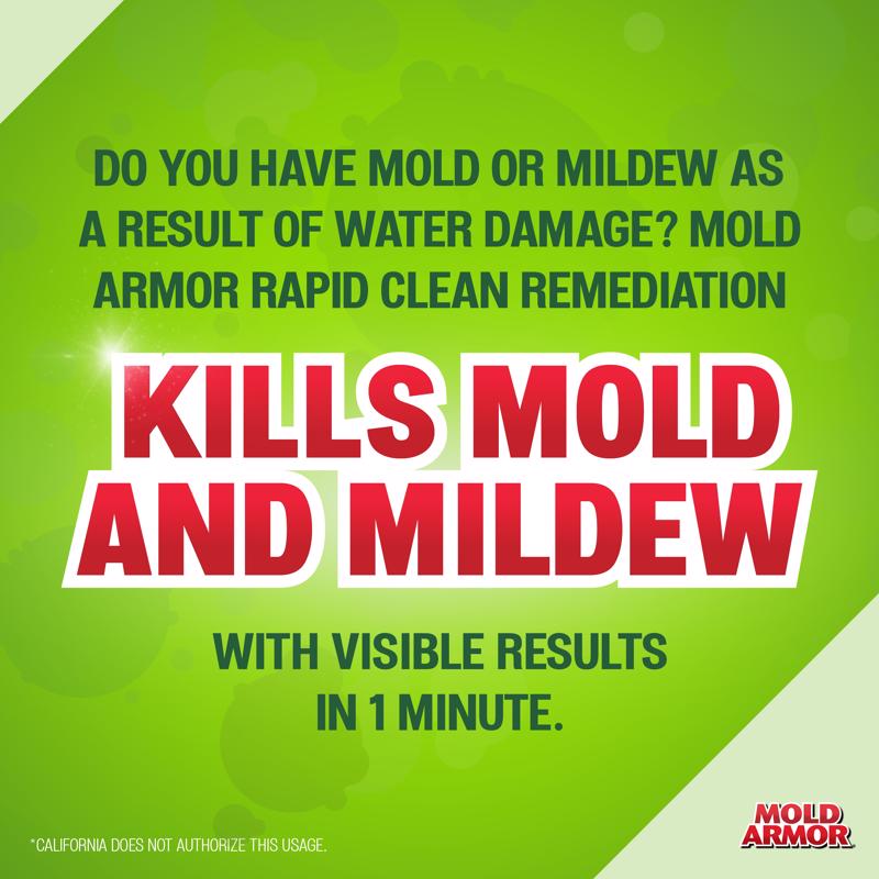 Mold Armor Mold and Mildew Remover 32 fl. oz.