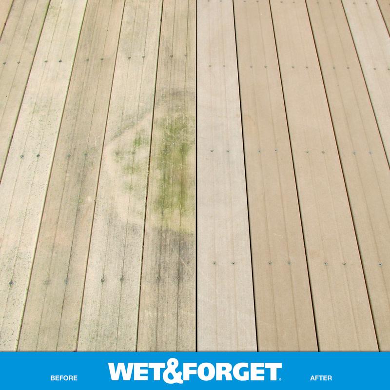 Wet & Forget Outdoor Cleaner 48 oz