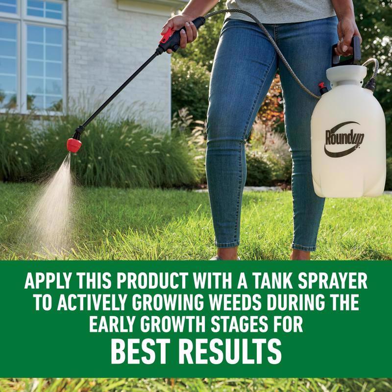 Roundup Weed Killer Concentrate 32 oz