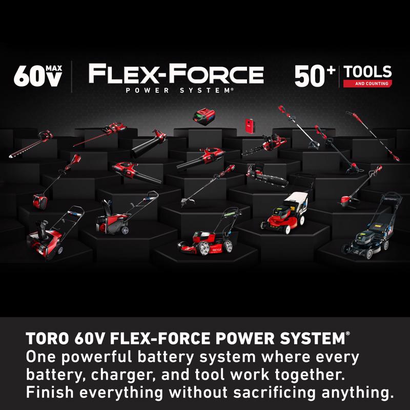 Toro Flex-Force 60 V Battery Charger