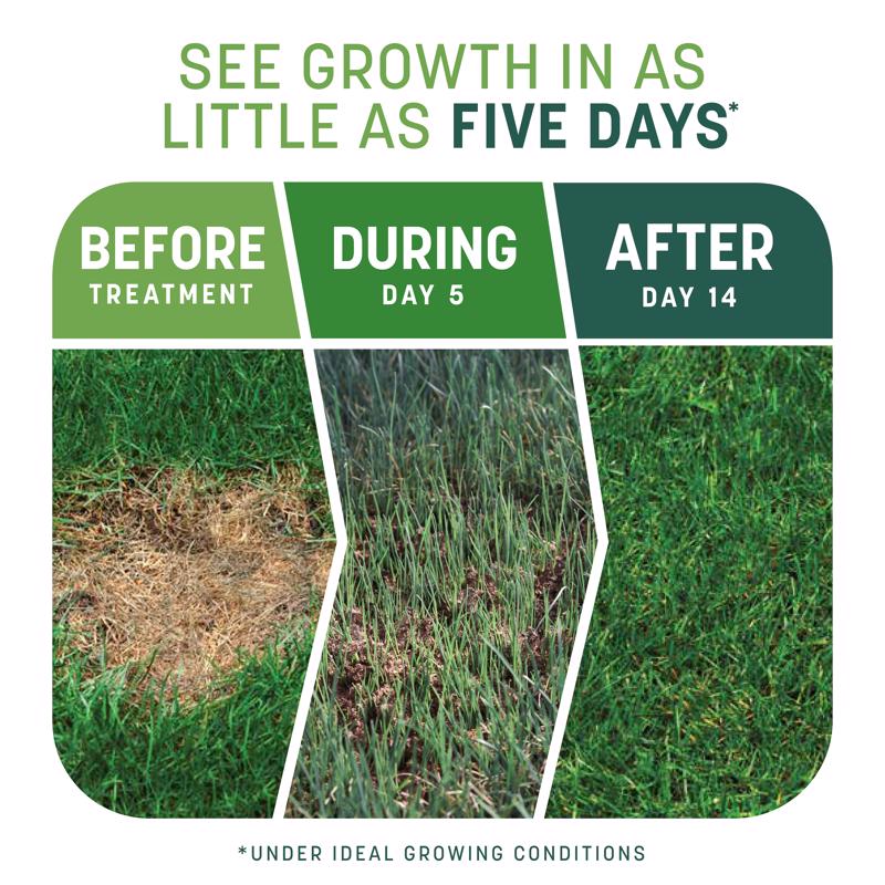 Pennington Smart Patch Tall Fescue Grass Sun or Shade Seed/Fertilizer/Mulch Repair Kit 10 lb