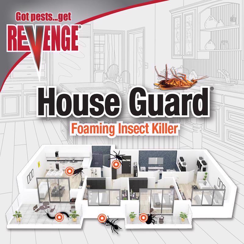 Bonide House Guard Ant and Roach Killer Foam 15 oz