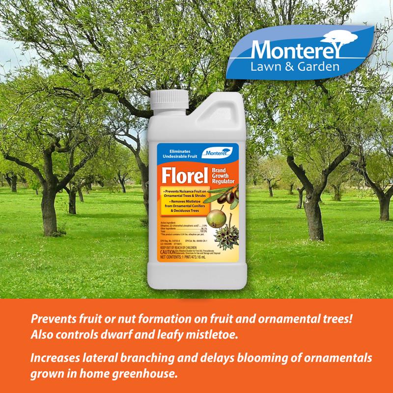 Monterey Florel Growth Regulator Concentrate 1 pt