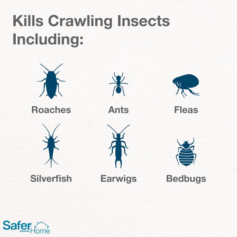 Safer Brand Insect Killer 7 oz