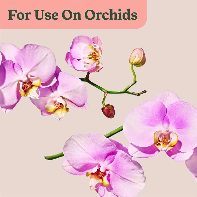 Miracle-Gro Liquid Orchid Plant Food 8 oz