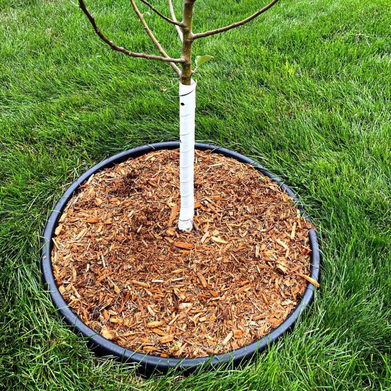 Master Mark Treemaster 24 in. H White Plastic Spiral Tree Protector