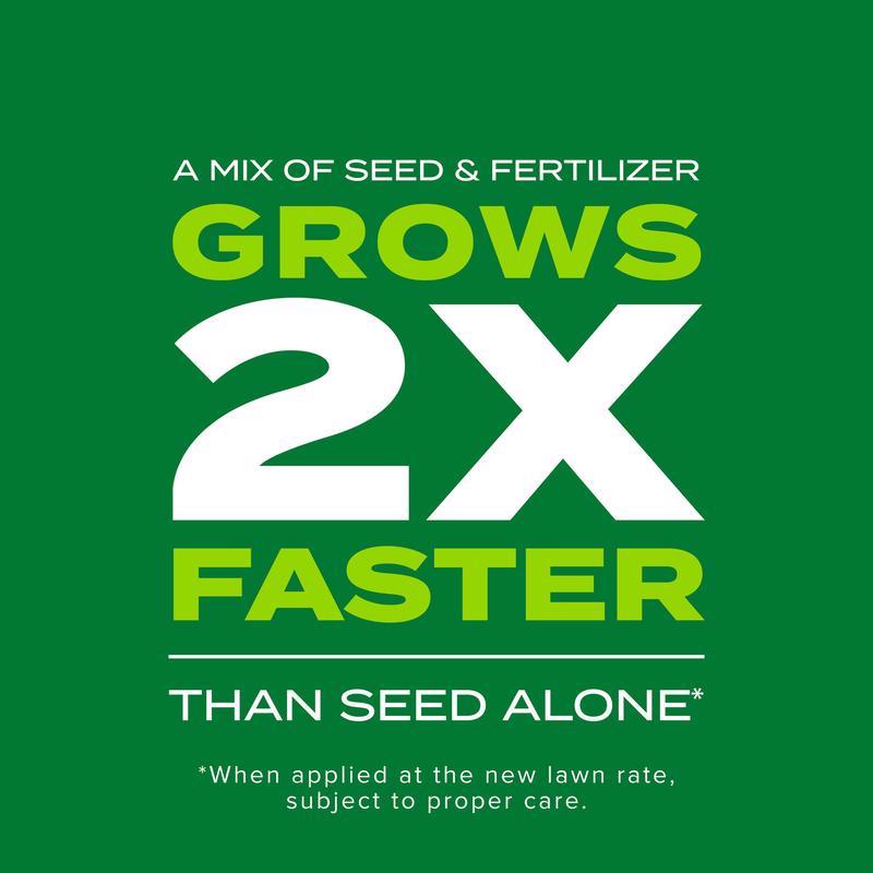 Scotts Turf Builder Rapid Grass Tall Fescue Grass Sun or Shade Grass Seed and Fertilizer 5.6 lb