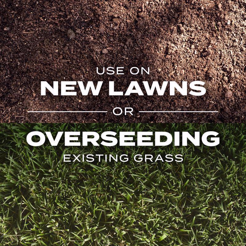 Scotts Turf Builder Rapid Grass Tall Fescue Grass Sun or Shade Grass Seed and Fertilizer 5.6 lb
