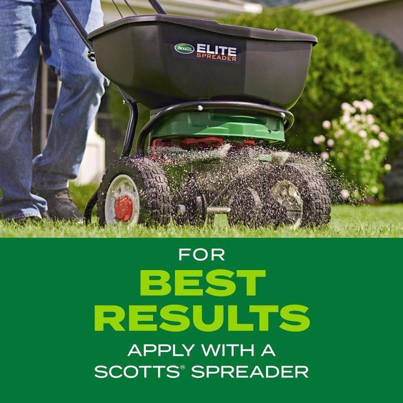 Scotts Turf Builder Rapid Grass Tall Fescue Grass Sun or Shade Grass Seed and Fertilizer 5.6 lb