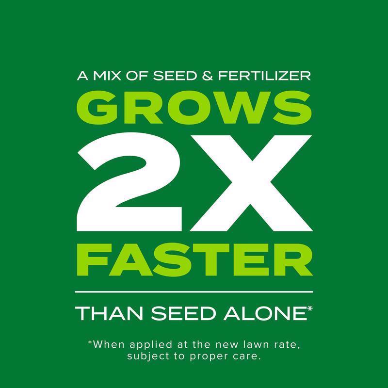 Scotts Turf Builder Rapid Grass Tall Fescue Grass Sun or Shade Grass Seed and Fertilizer 16 lb