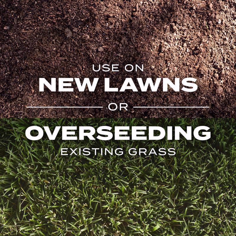 Scotts Turf Builder Rapid Grass Tall Fescue Grass Sun or Shade Grass Seed and Fertilizer 16 lb