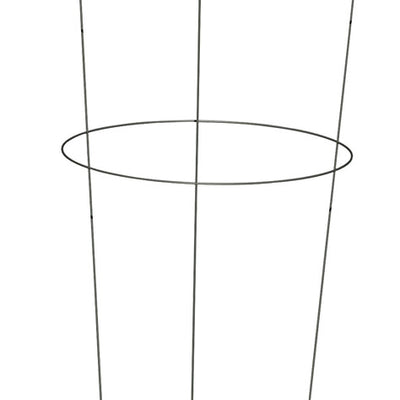 Panacea 30 in. H X 18 in. W Gray Steel Peony Cage