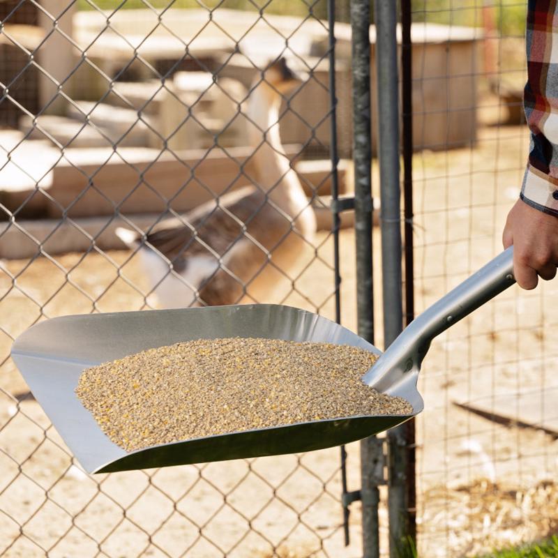 Garant Silver Grain Scoop