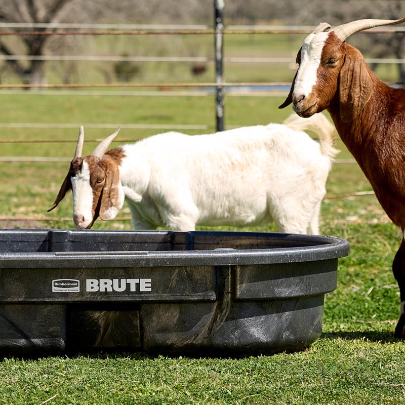 Rubbermaid 50 gal Stock Tank For Livestock