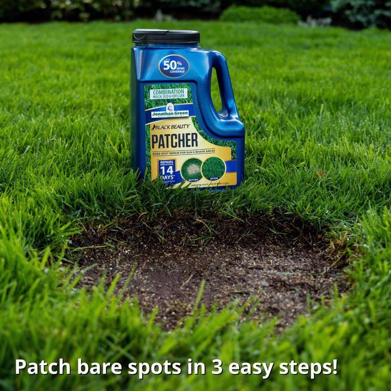 Jonathan Green Black Beauty Patcher Mixed Sun or Shade Grass Spot Repair Mix 3 lb