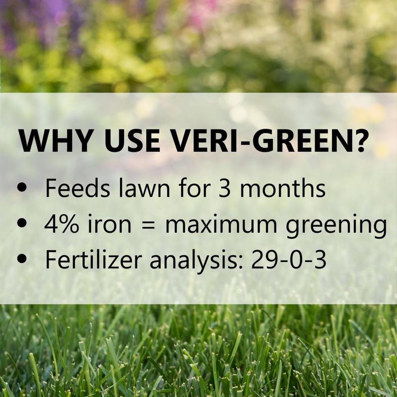 Jonathan Green Veri-Green Lawn Food All-Purpose Lawn Food For All Grasses 15000 sq ft