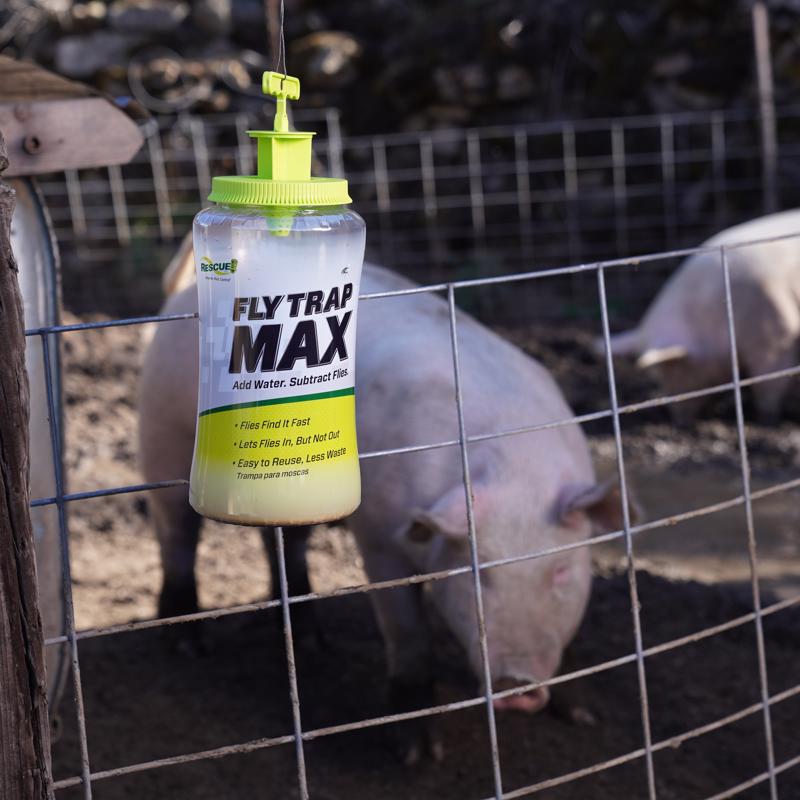 RESCUE! Max Fly Trap
