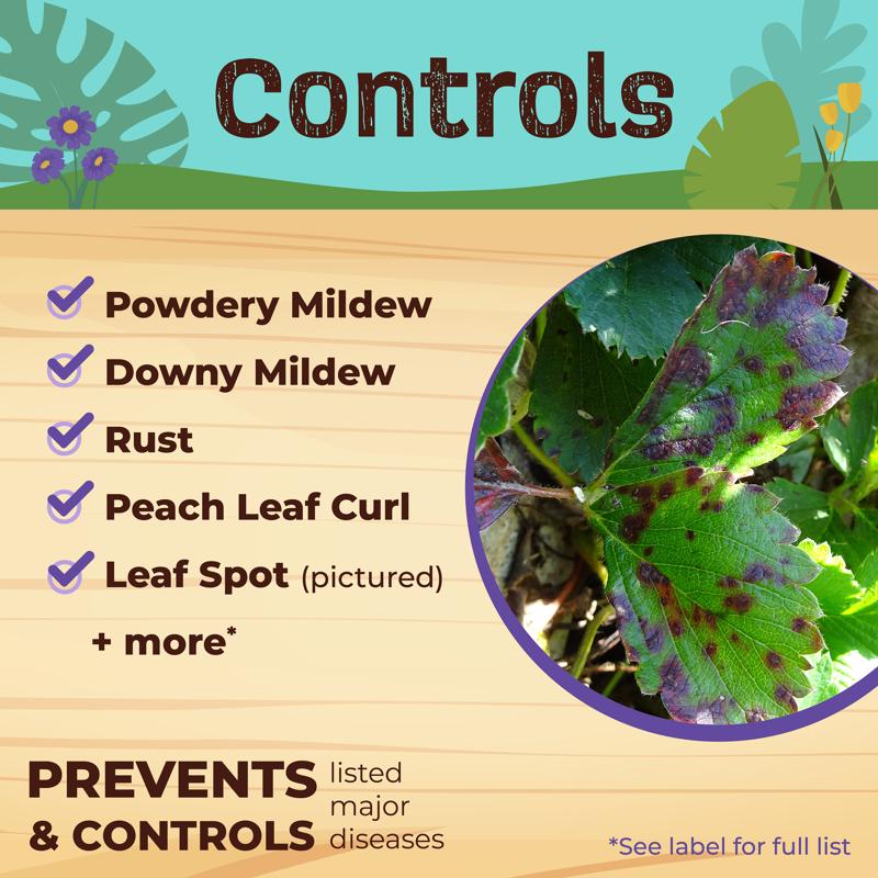 Bonide Captain Jack's Concentrated Liquid Disease and Fungicide Control 16 oz