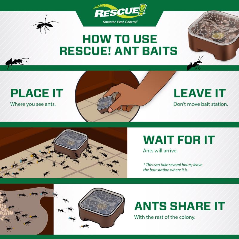 RESCUE! Ant Bait