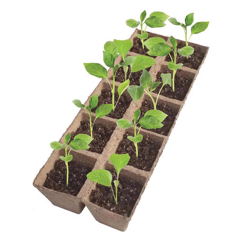 Jiffy 20 Cells Seed Starting Kit