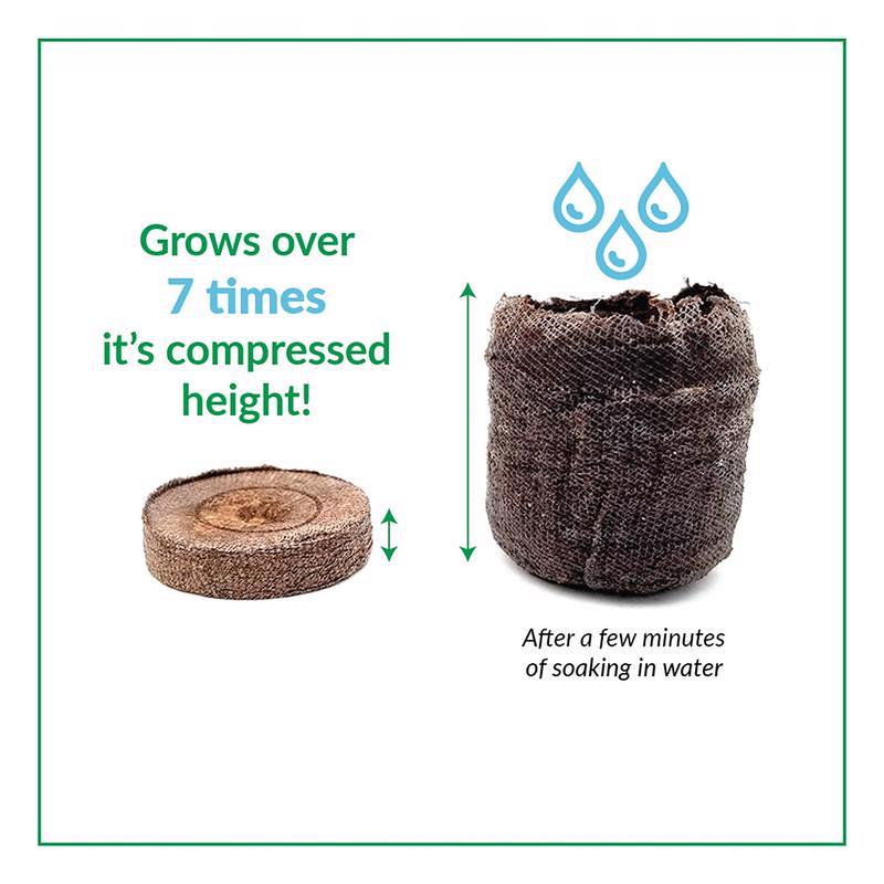 Jiffy 50 Cells 11 in. W X 22 in. L Seed Starting Kit