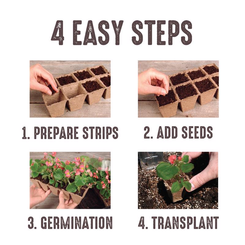 Jiffy 50 Cells 5.5 in. H X 11 in. W X 21 in. L Seed Starting Kit