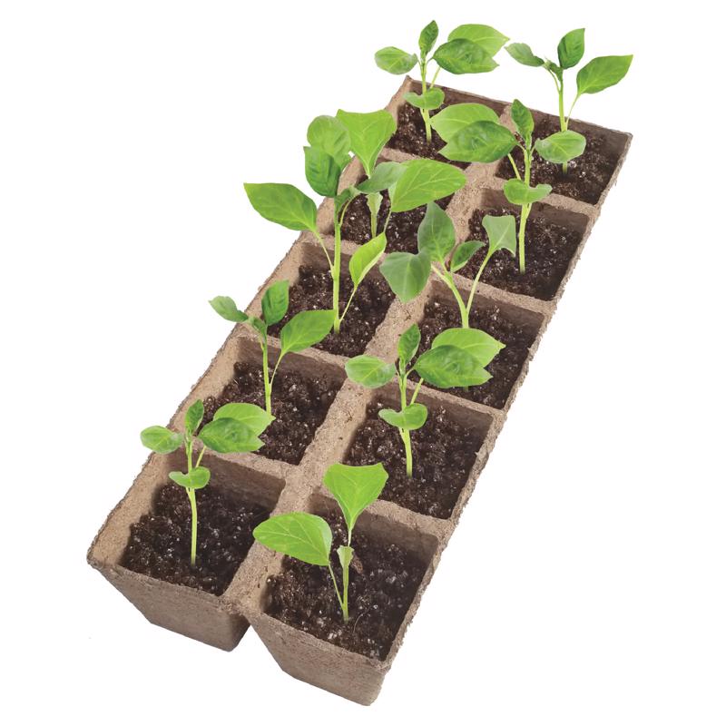 Jiffy 50 Cells 5.5 in. H X 11 in. W X 21 in. L Seed Starting Kit