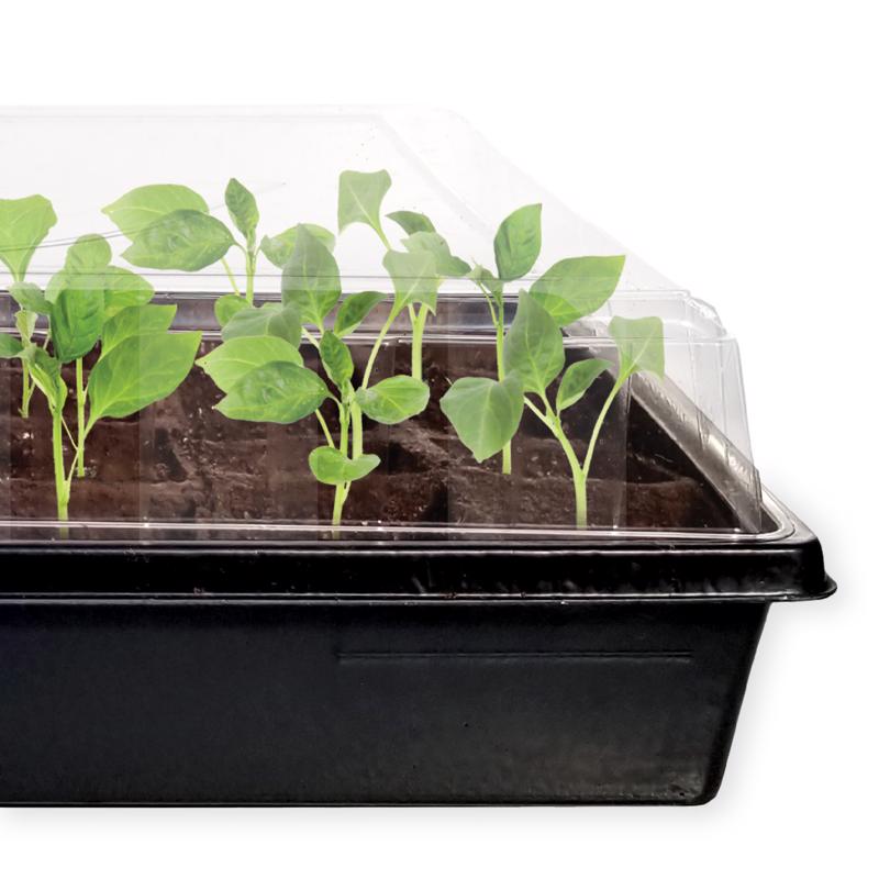 Jiffy 50 Cells 5.5 in. H X 11 in. W X 21 in. L Seed Starting Kit