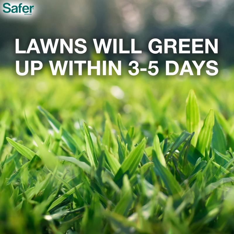 Safer Brand Lawn Restore All-Purpose Lawn Fertilizer For All Grasses 5000 sq ft