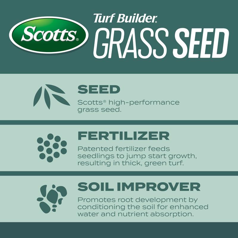 Scotts Turf Builder All Grasses Dense Shade Fertilizer/Seed/Soil Improver 5.6 lb