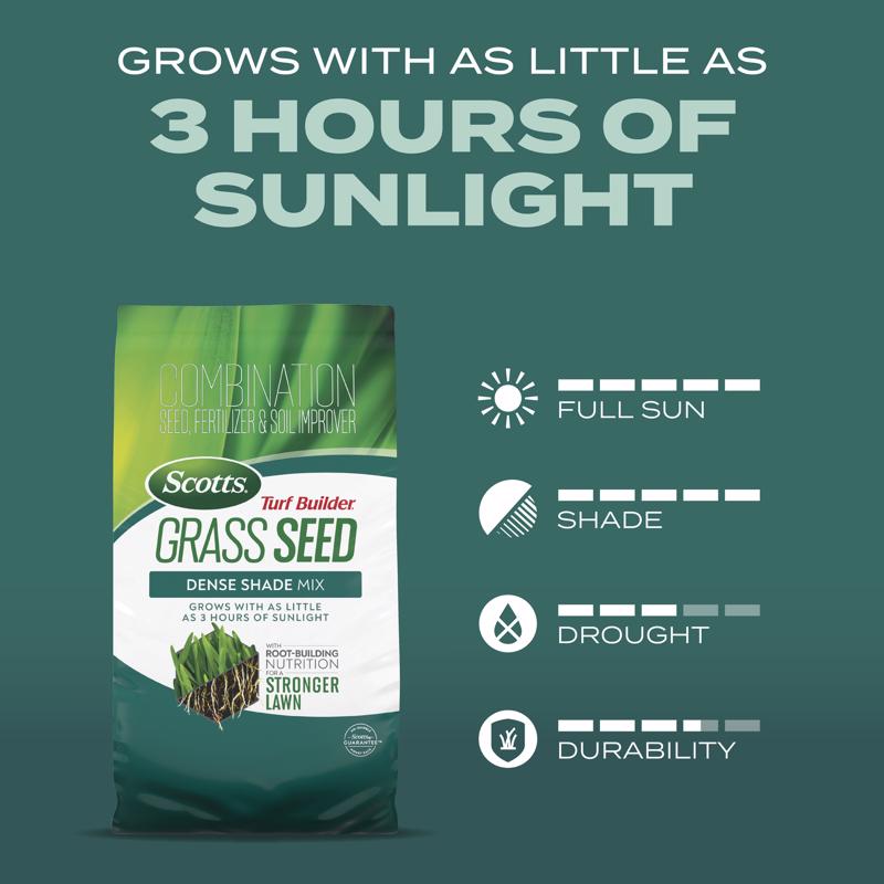 Scotts Turf Builder All Grasses Dense Shade Fertilizer/Seed/Soil Improver 5.6 lb
