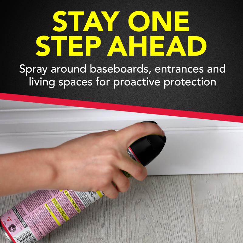 Raid Ant and Roach Killer Aerosol 17.5 oz
